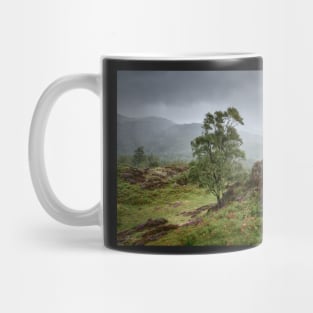 Holme Fell Heather Mug